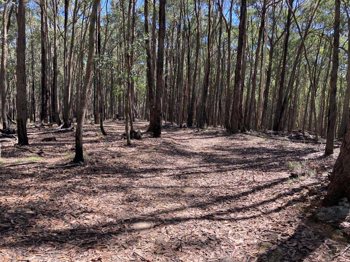 Werribee river mount hope circuit hike 12