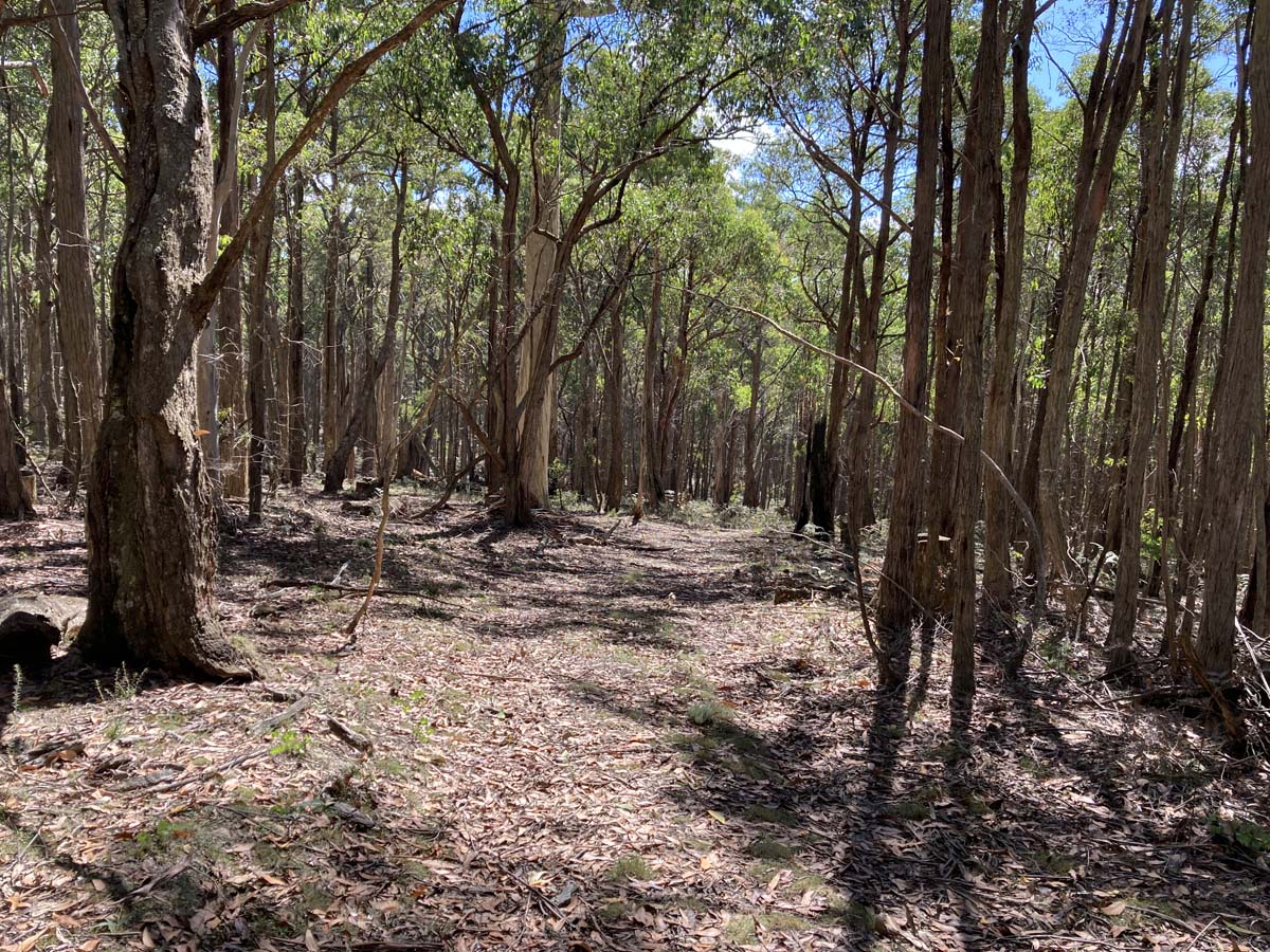 Werribee river mount hope circuit hike 13