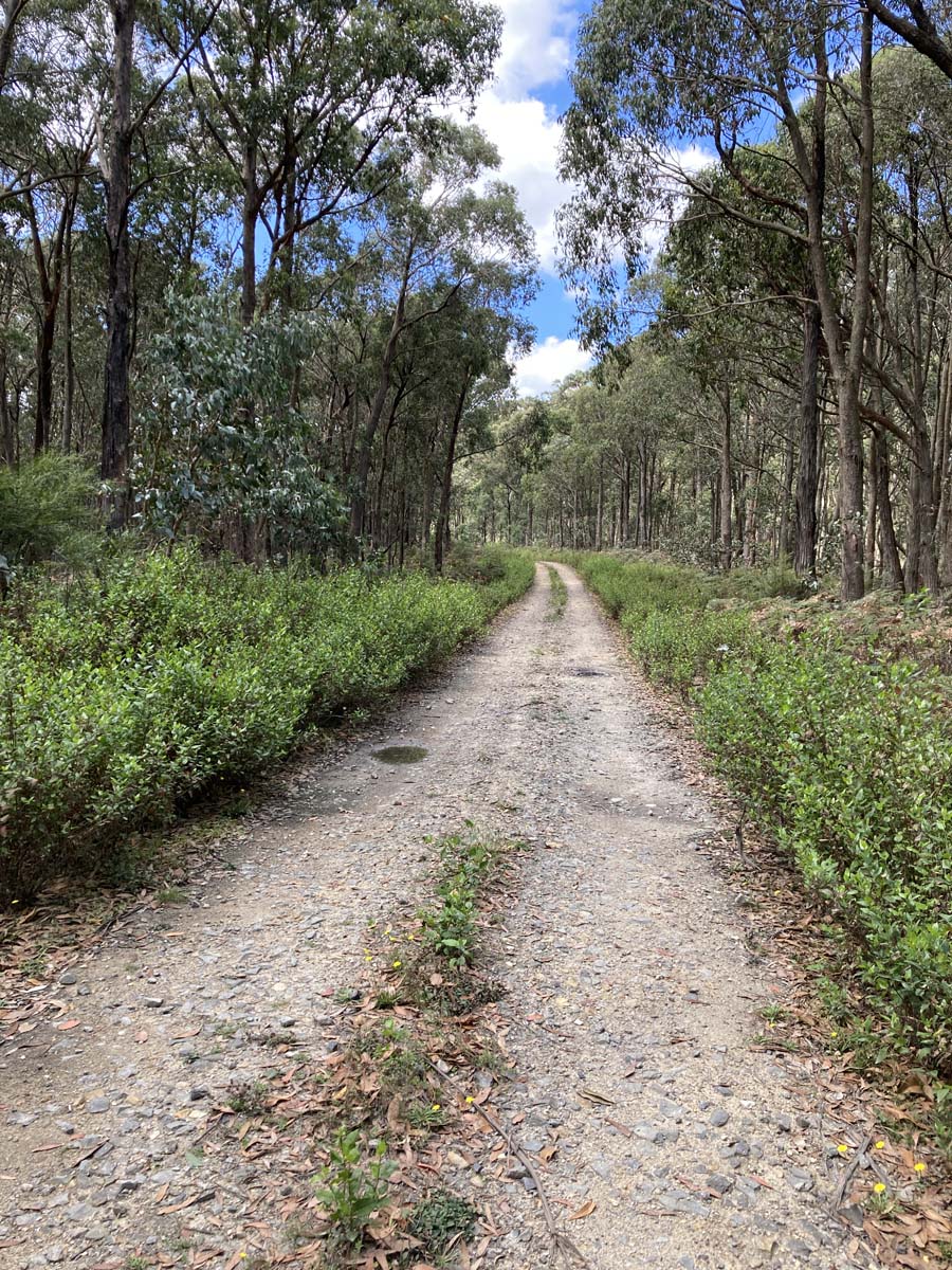 Werribee river mount hope circuit hike 17