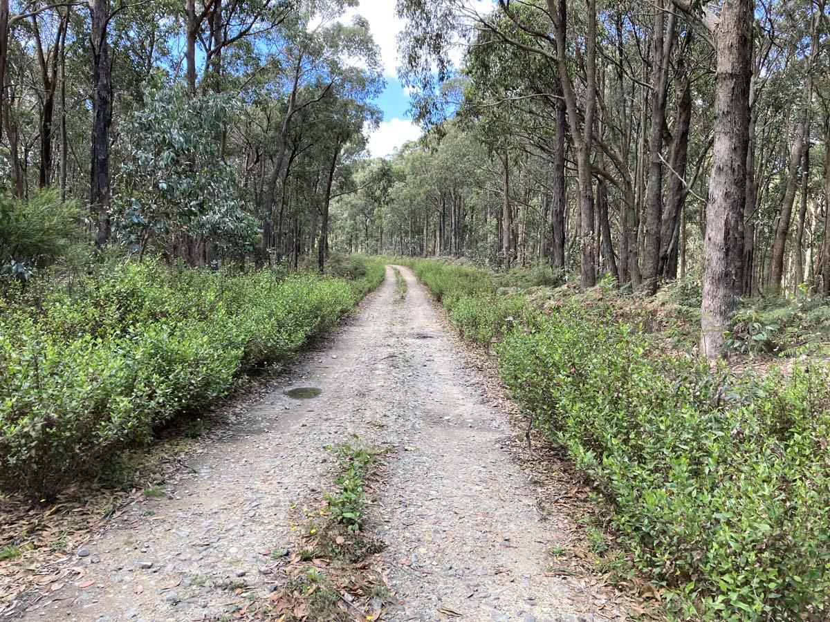 Werribee river mount hope circuit hike 18