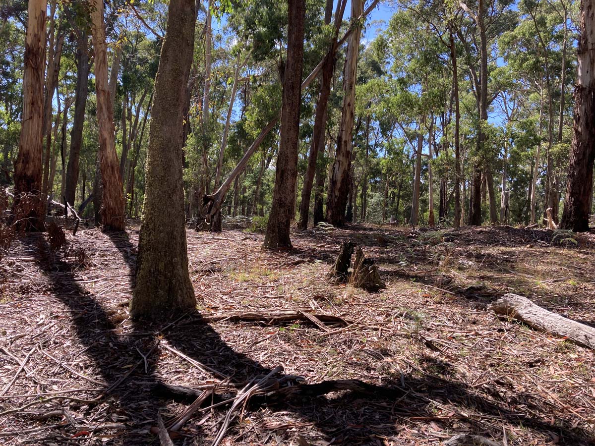 Werribee river mount hope circuit hike 2