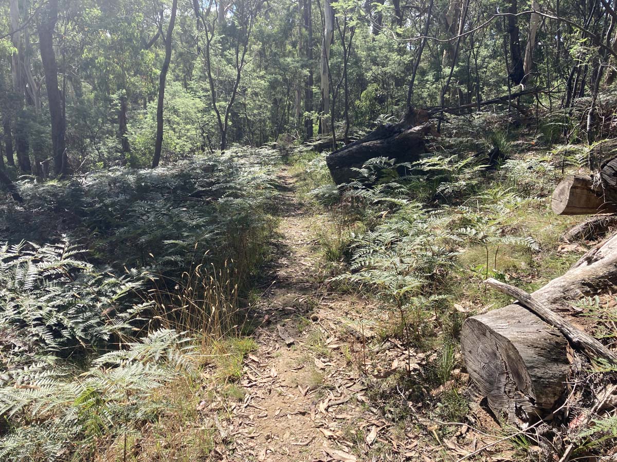 Werribee river mount hope circuit hike 20