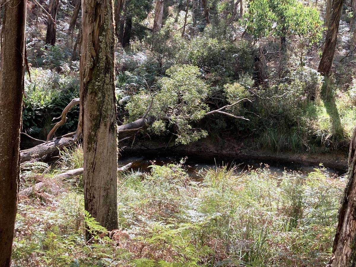 Werribee river mount hope circuit hike 21