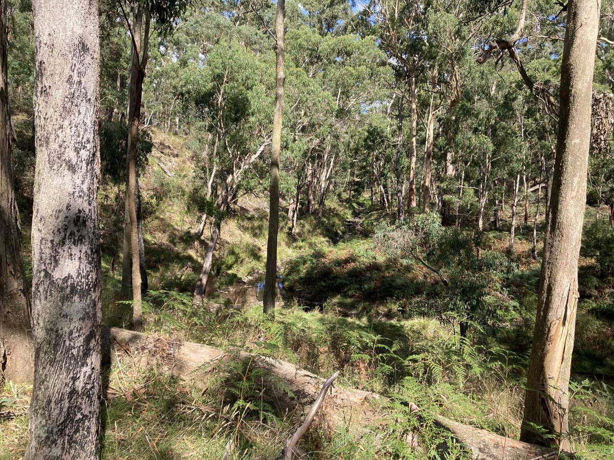Werribee river mount hope circuit hike 23