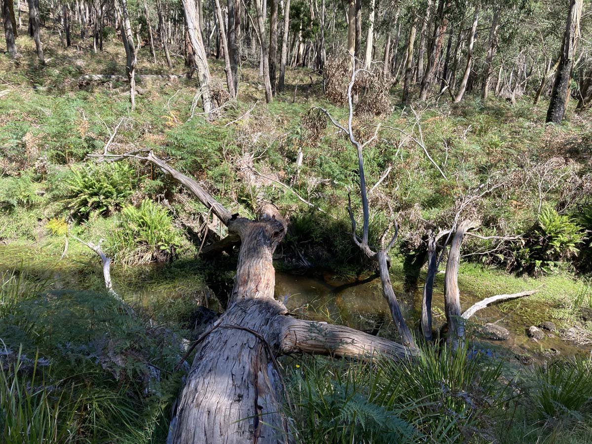 Werribee river mount hope circuit hike 5