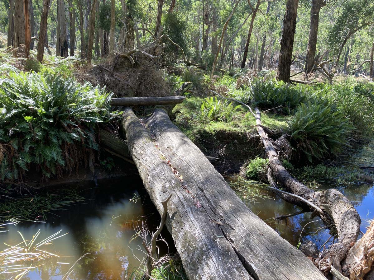 Werribee river mount hope circuit hike 7