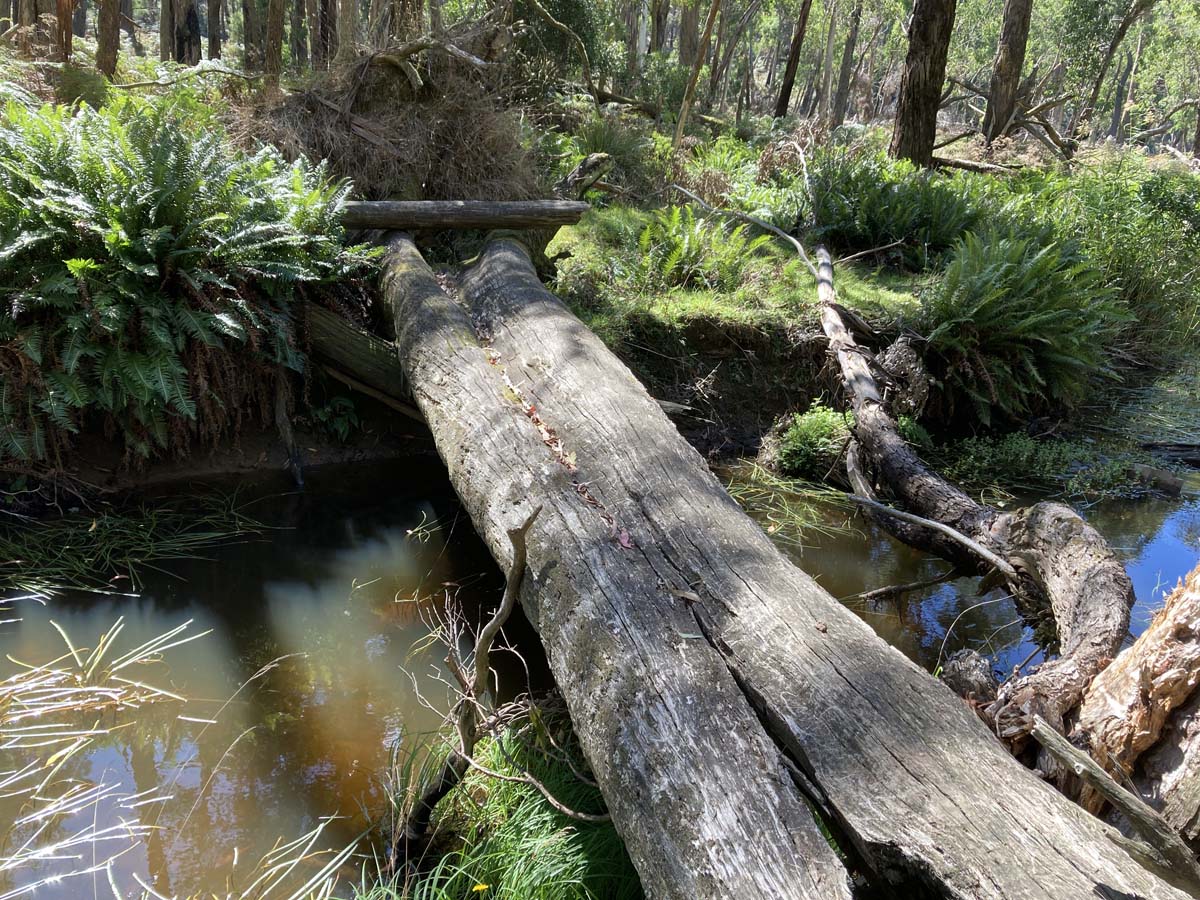 Werribee river mount hope circuit hike 8