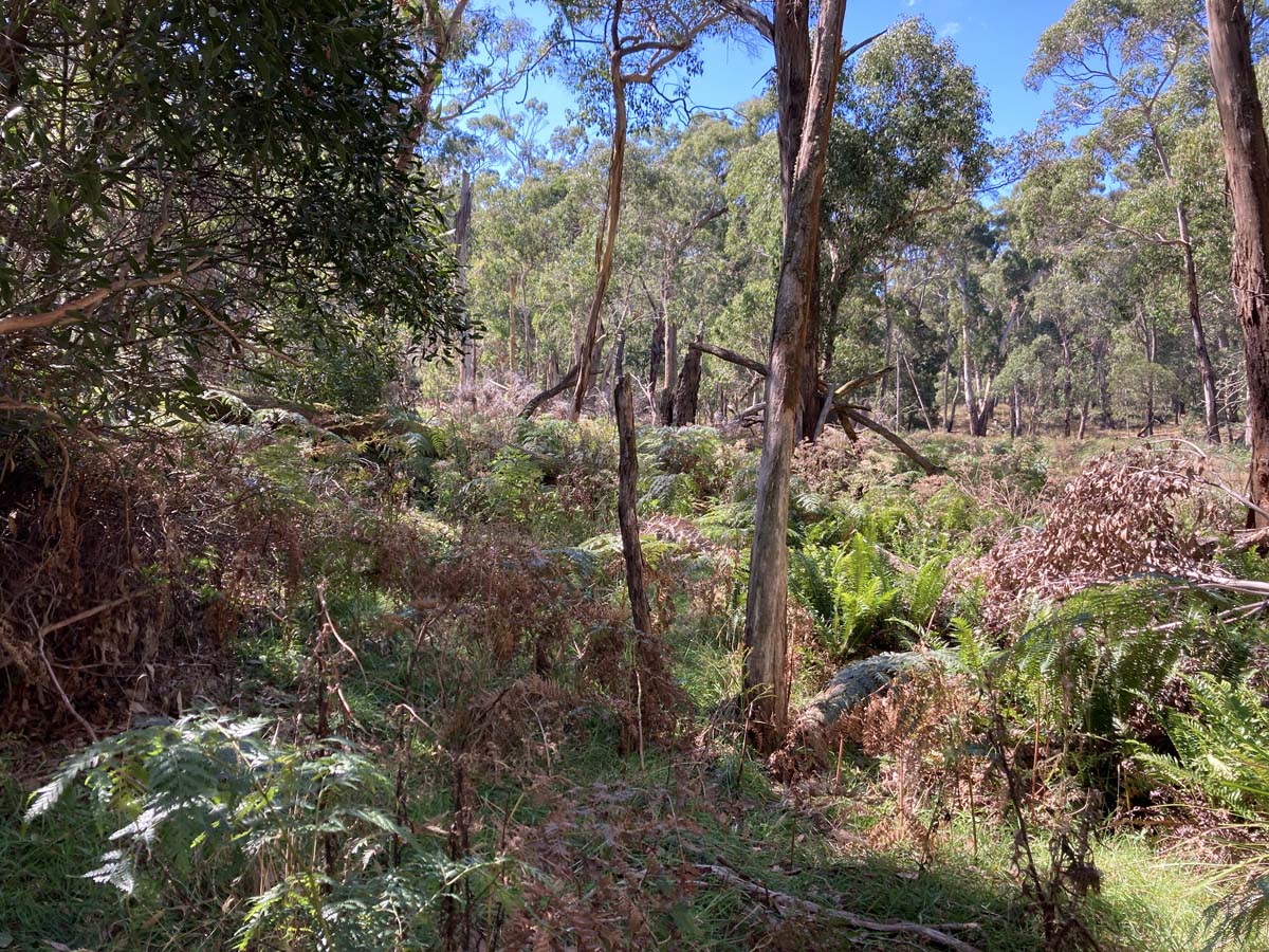 Werribee river mount hope circuit hike 9