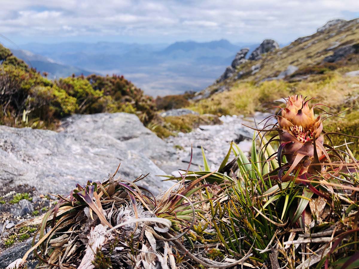 Western arthurs traverse a k hike 63