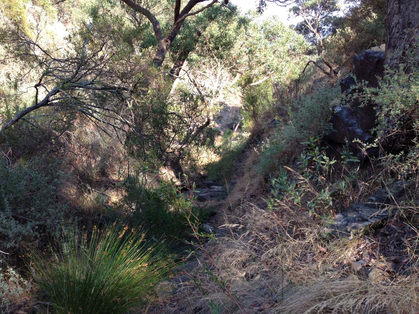 Western bluff falcons lookout (10)