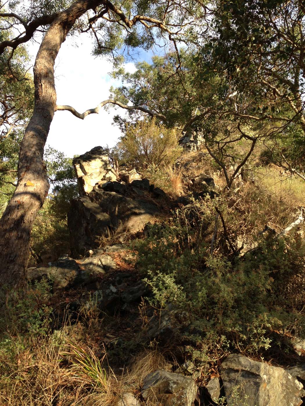 Western bluff falcons lookout (11)