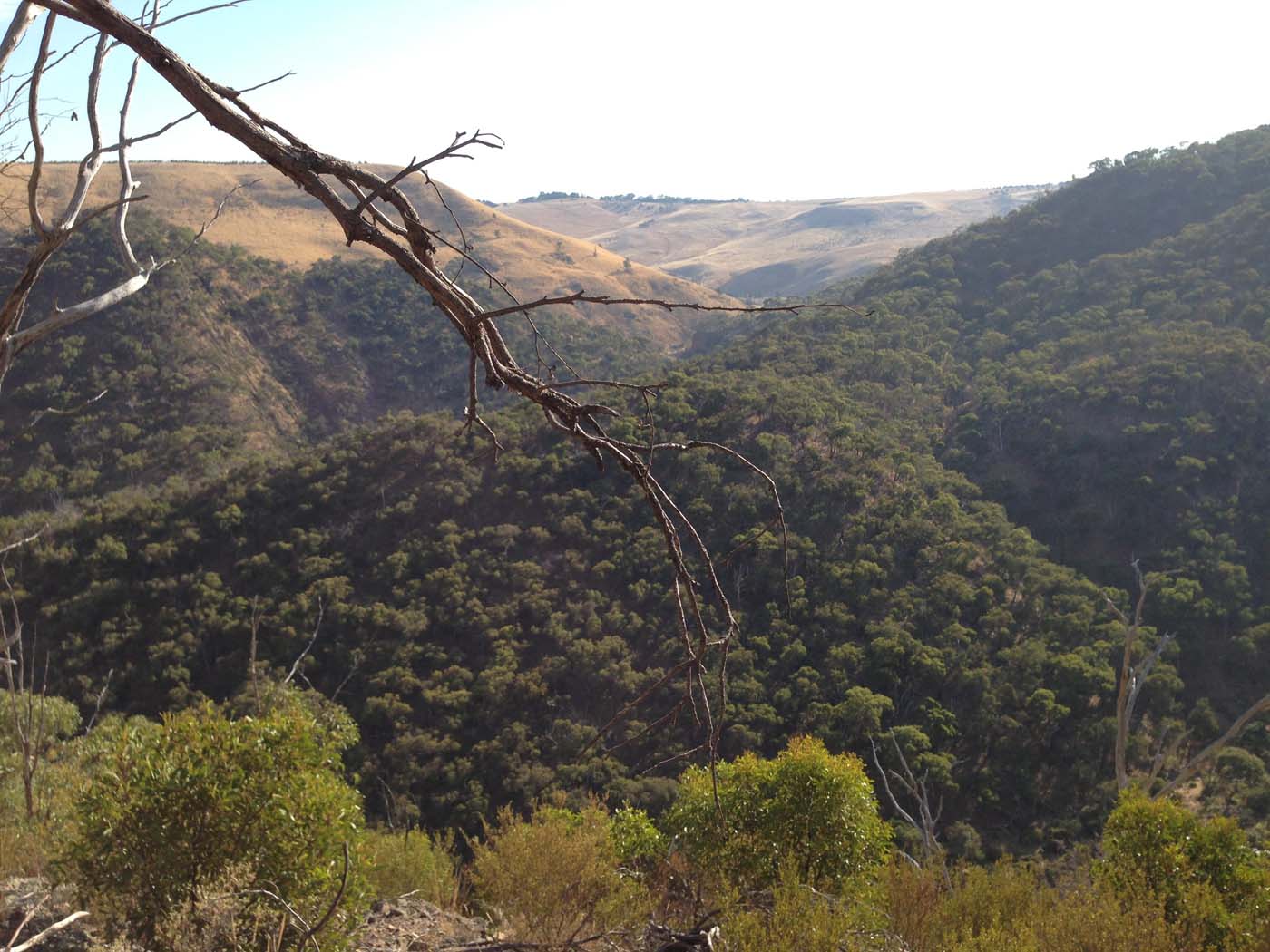 Western bluff falcons lookout (12)