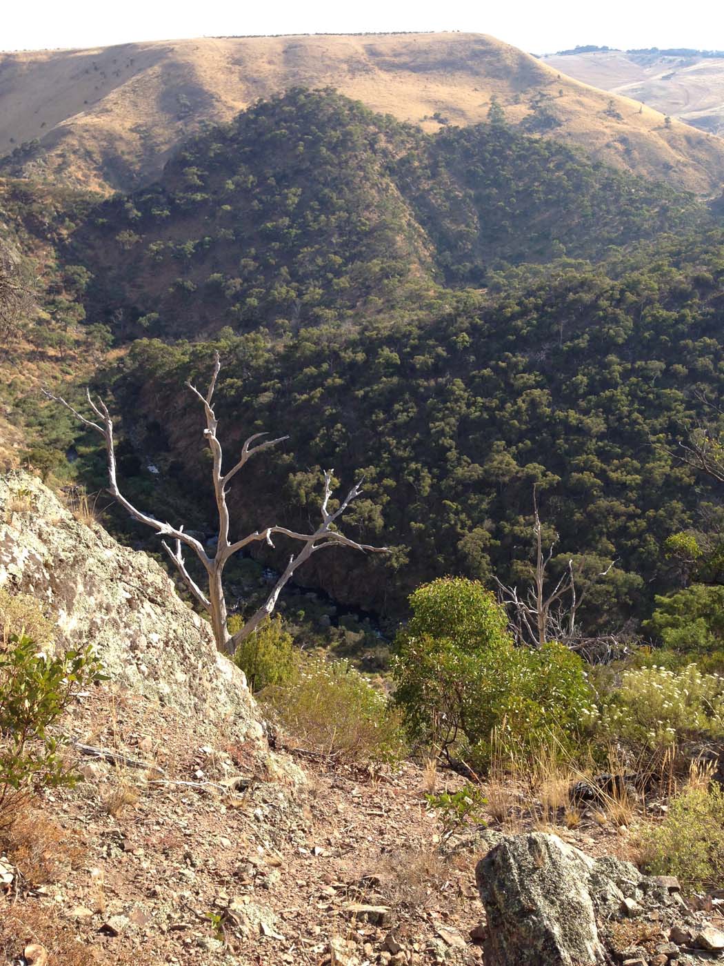 Western bluff falcons lookout (13)
