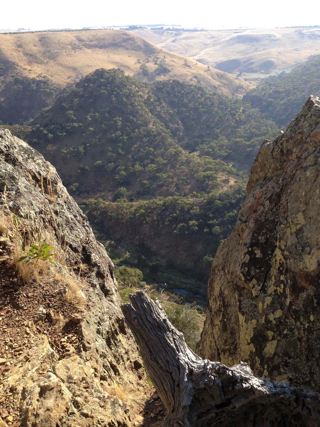 Western bluff falcons lookout (15)