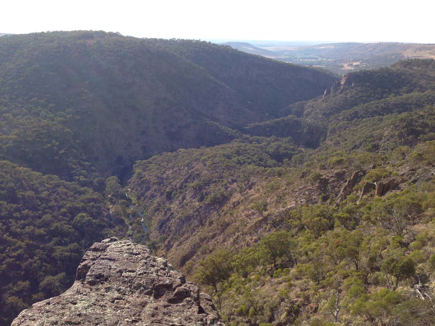 Western bluff falcons lookout (16)