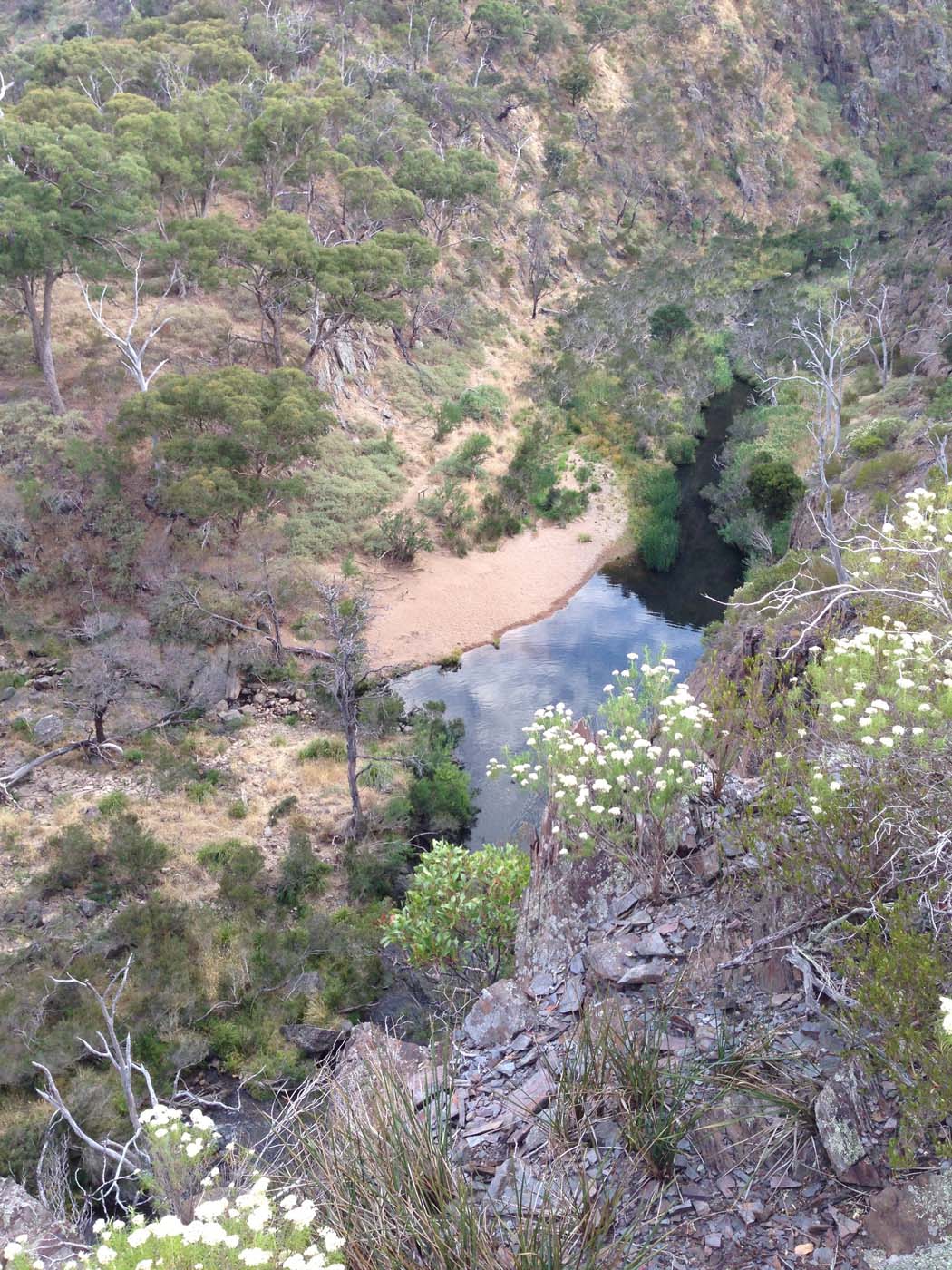 Western bluff falcons lookout (2)