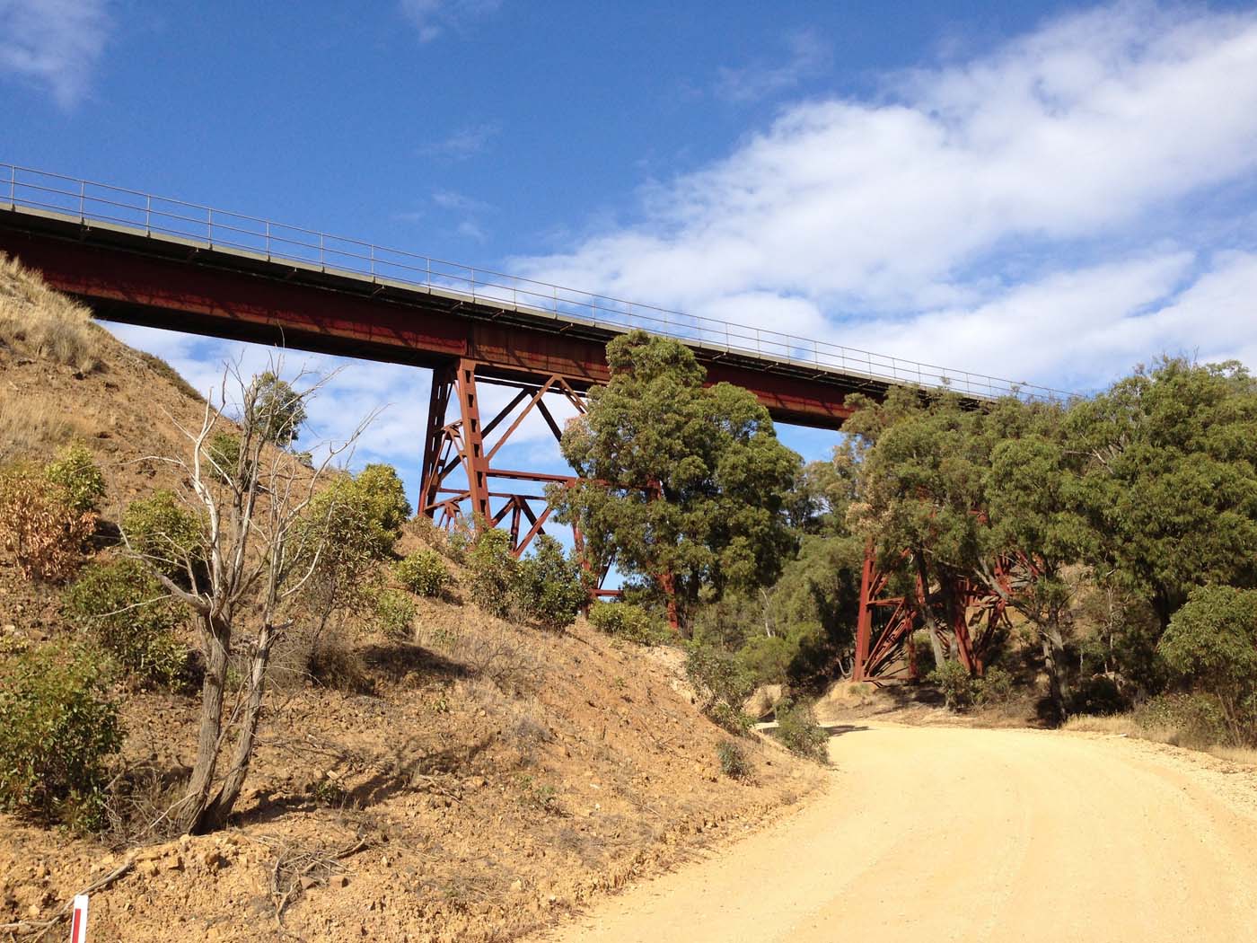 Western bluff falcons lookout (21)