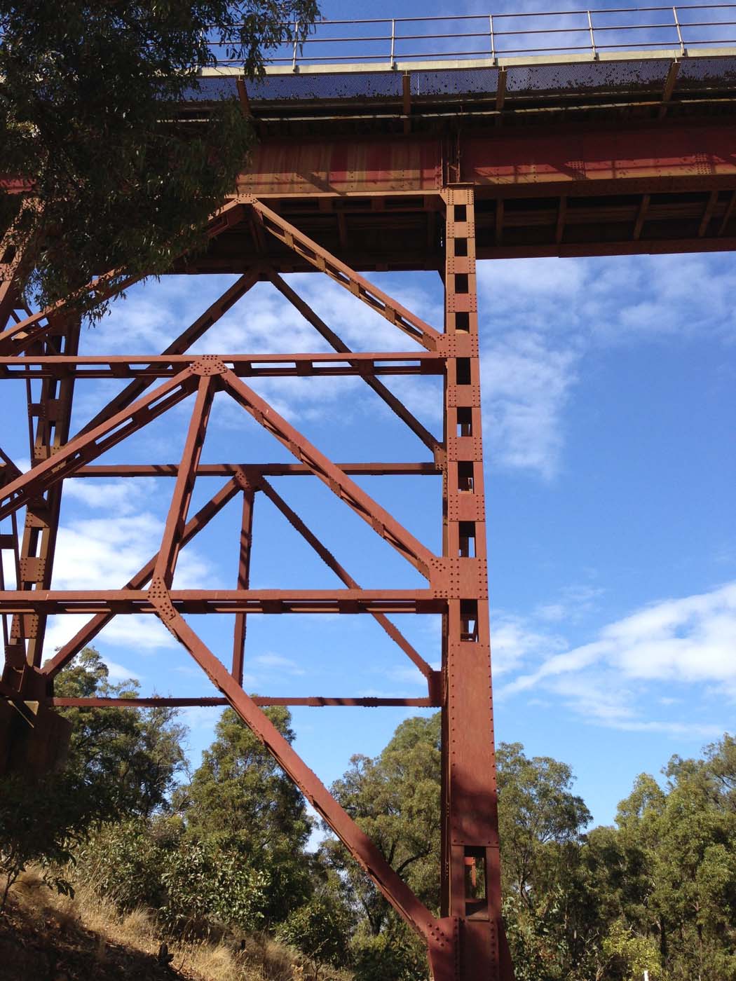 Western bluff falcons lookout (22)