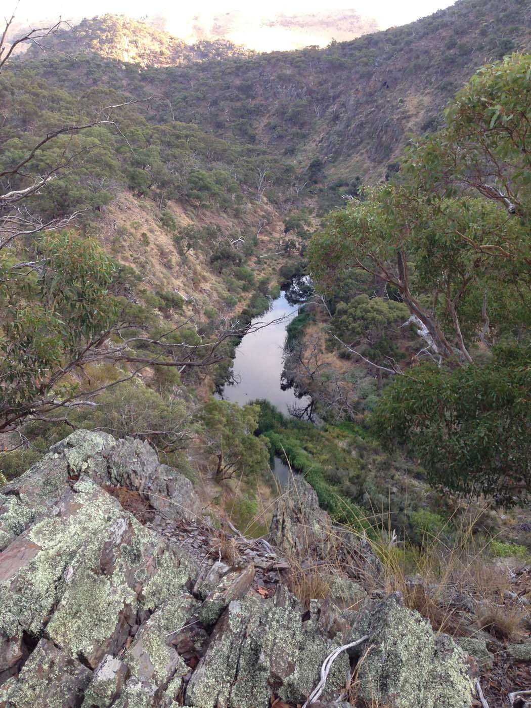 Western bluff falcons lookout (26)