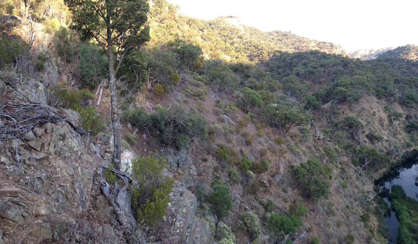 Western bluff falcons lookout (27)