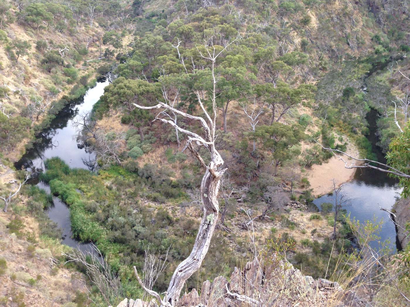 Western bluff falcons lookout (29)