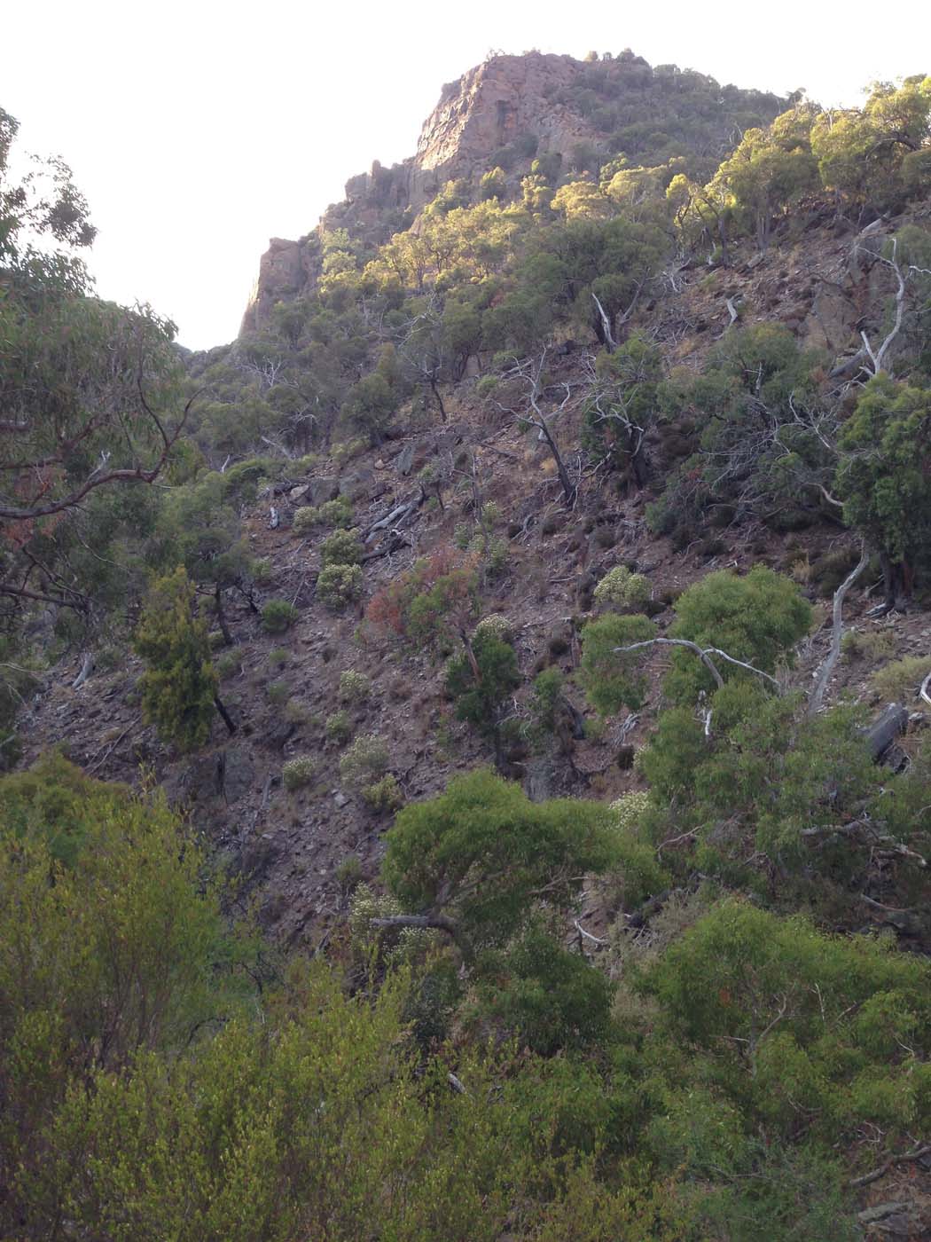 Western bluff falcons lookout (3)