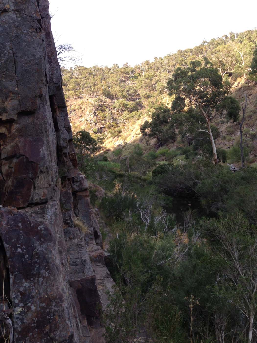 Western bluff falcons lookout (8)