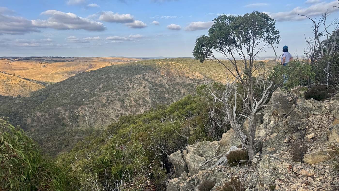 Western bluff lookout walk (1)