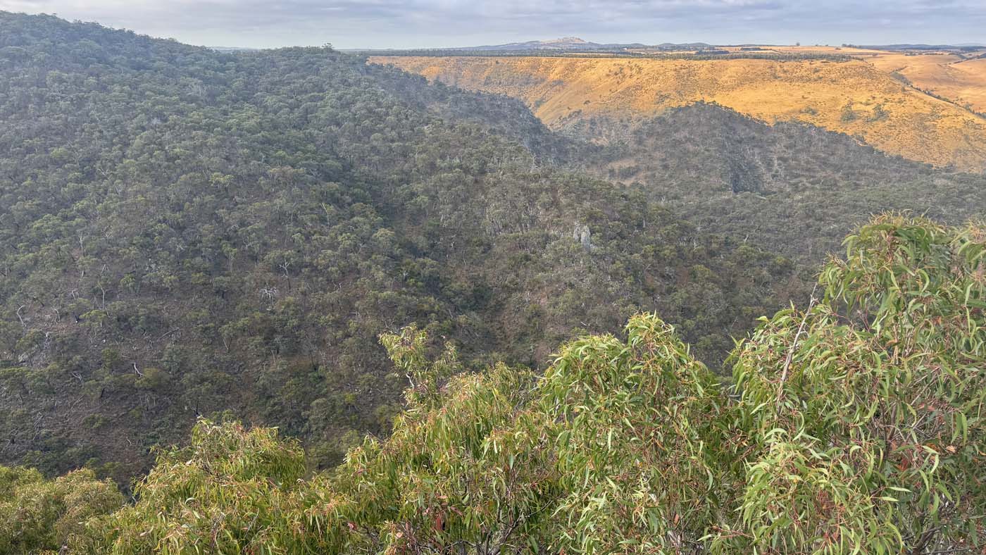 Western bluff lookout walk (2)