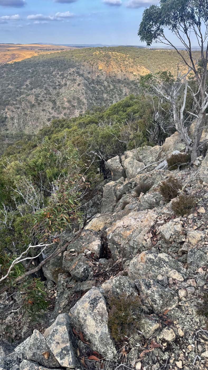 Western bluff lookout walk (3)