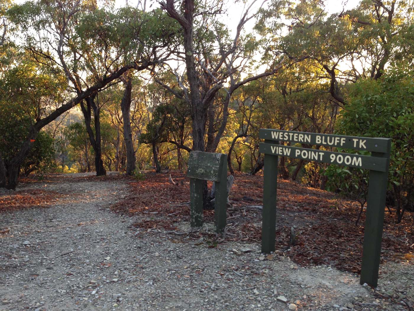 Western bluff lookout walk (4) 1