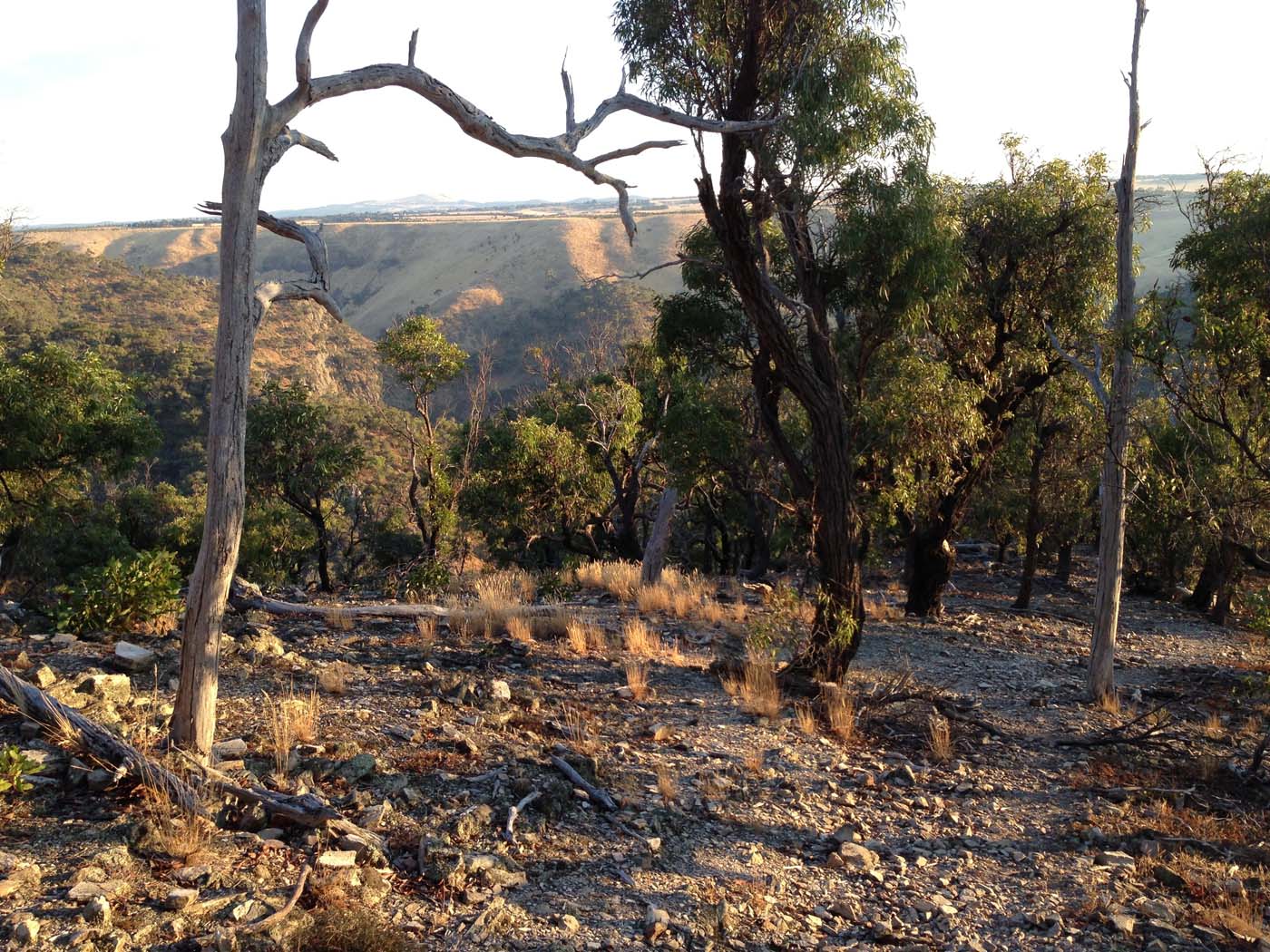Western bluff lookout walk (5) 1