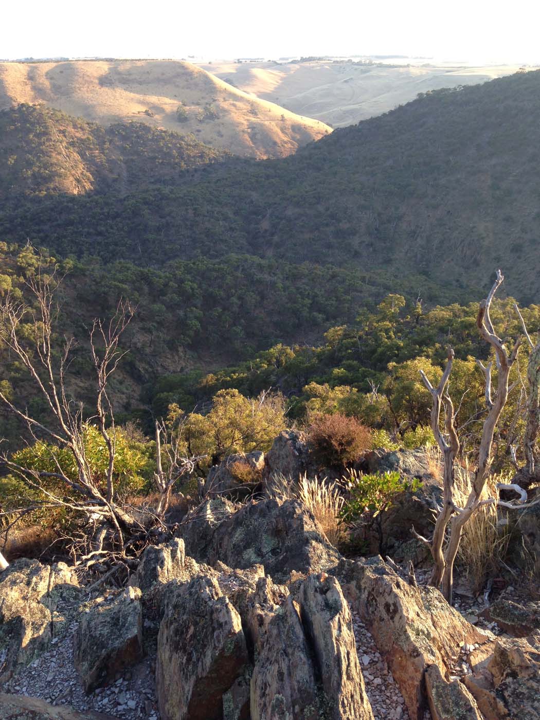 Western bluff lookout walk (6) 1