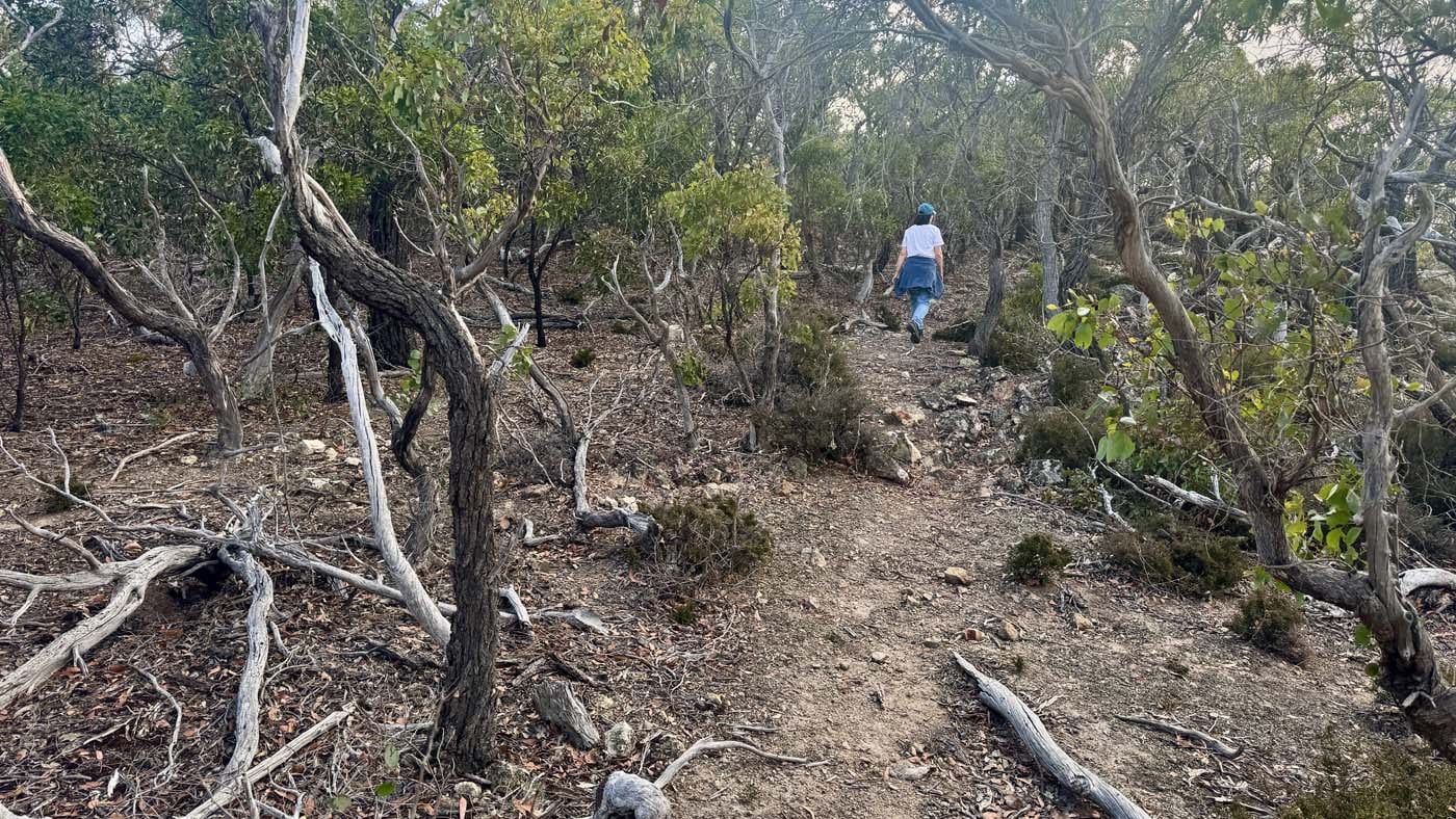 Western bluff lookout walk (7)