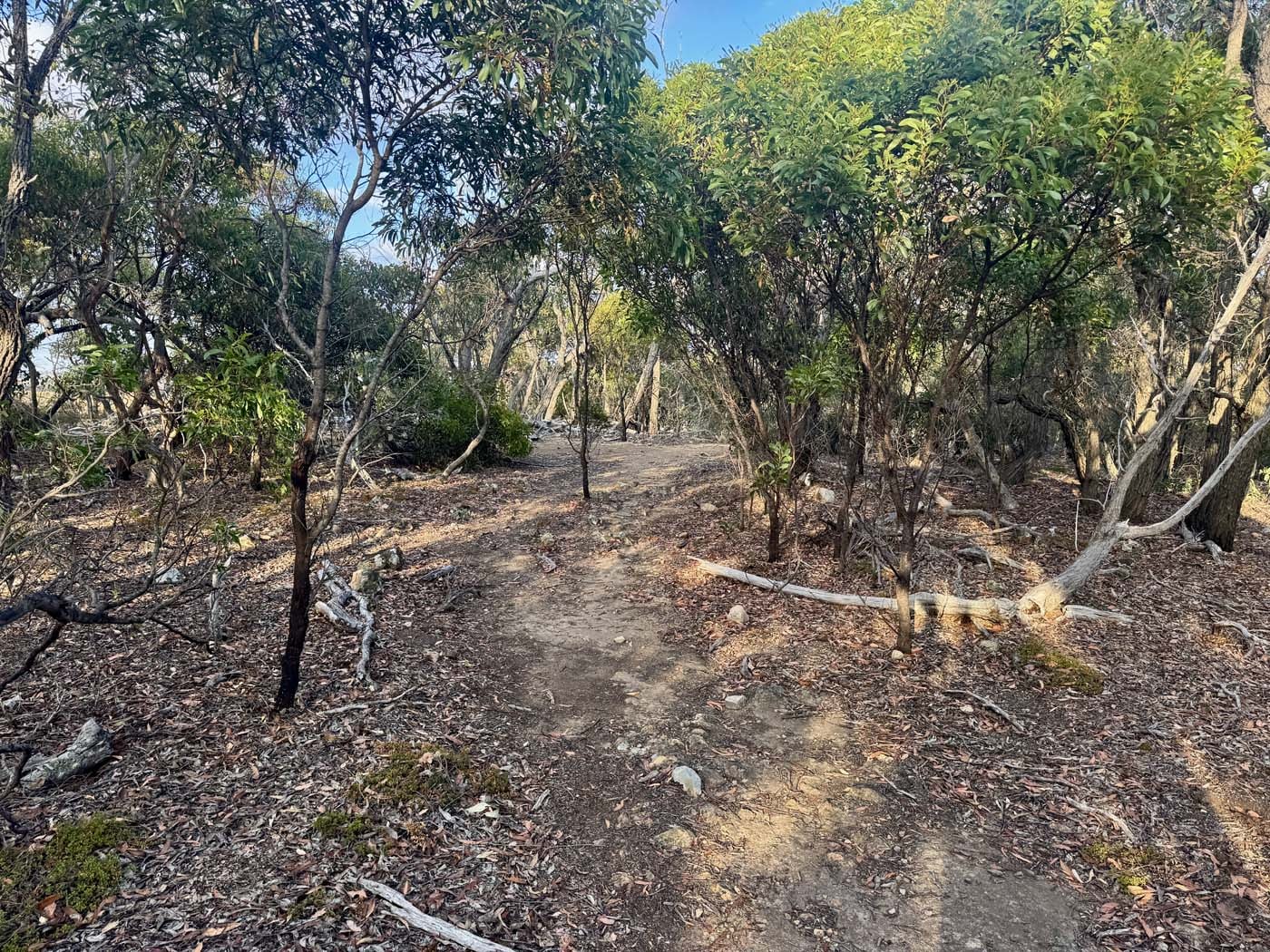 Western bluff lookout walk (8)