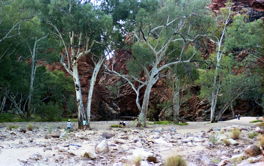 Edwards family bushwalking (3)
