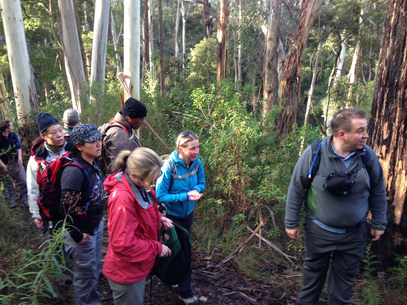 Whipstick loop walk (10)