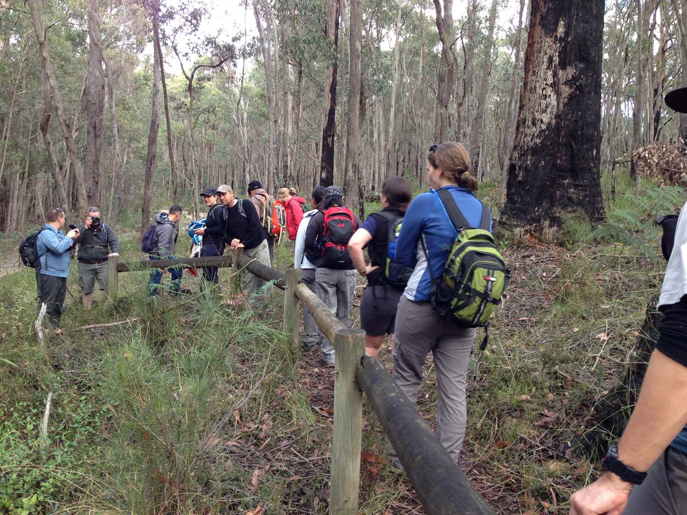 Whipstick loop walk (16)