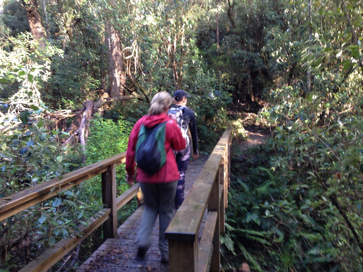 Whipstick loop walk (9)