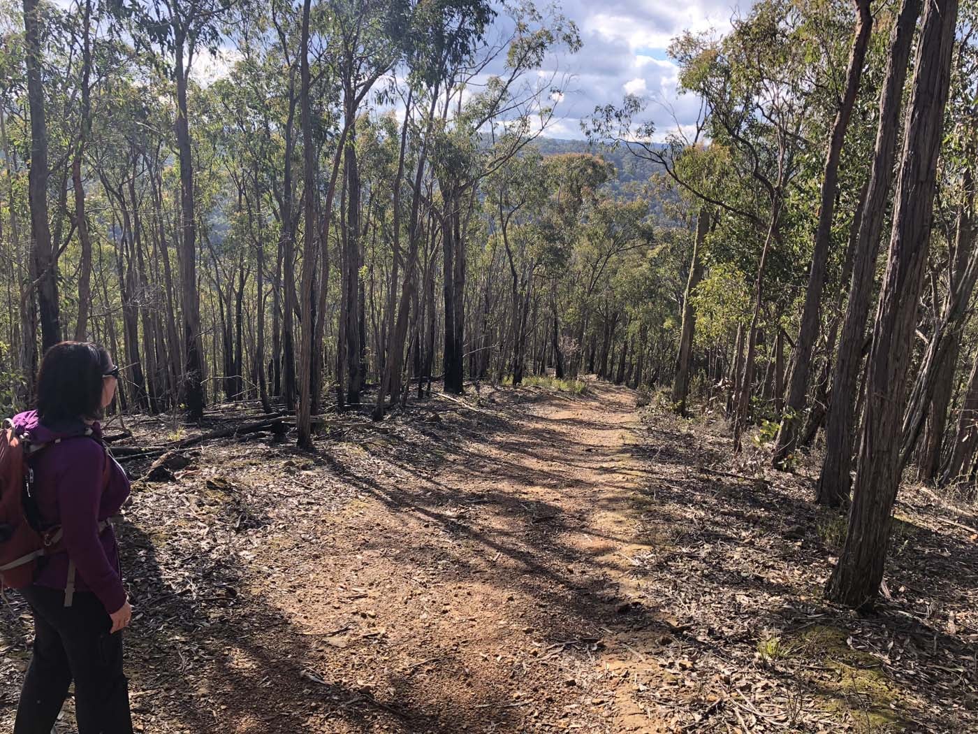 Whisky creek circuit hike (1)