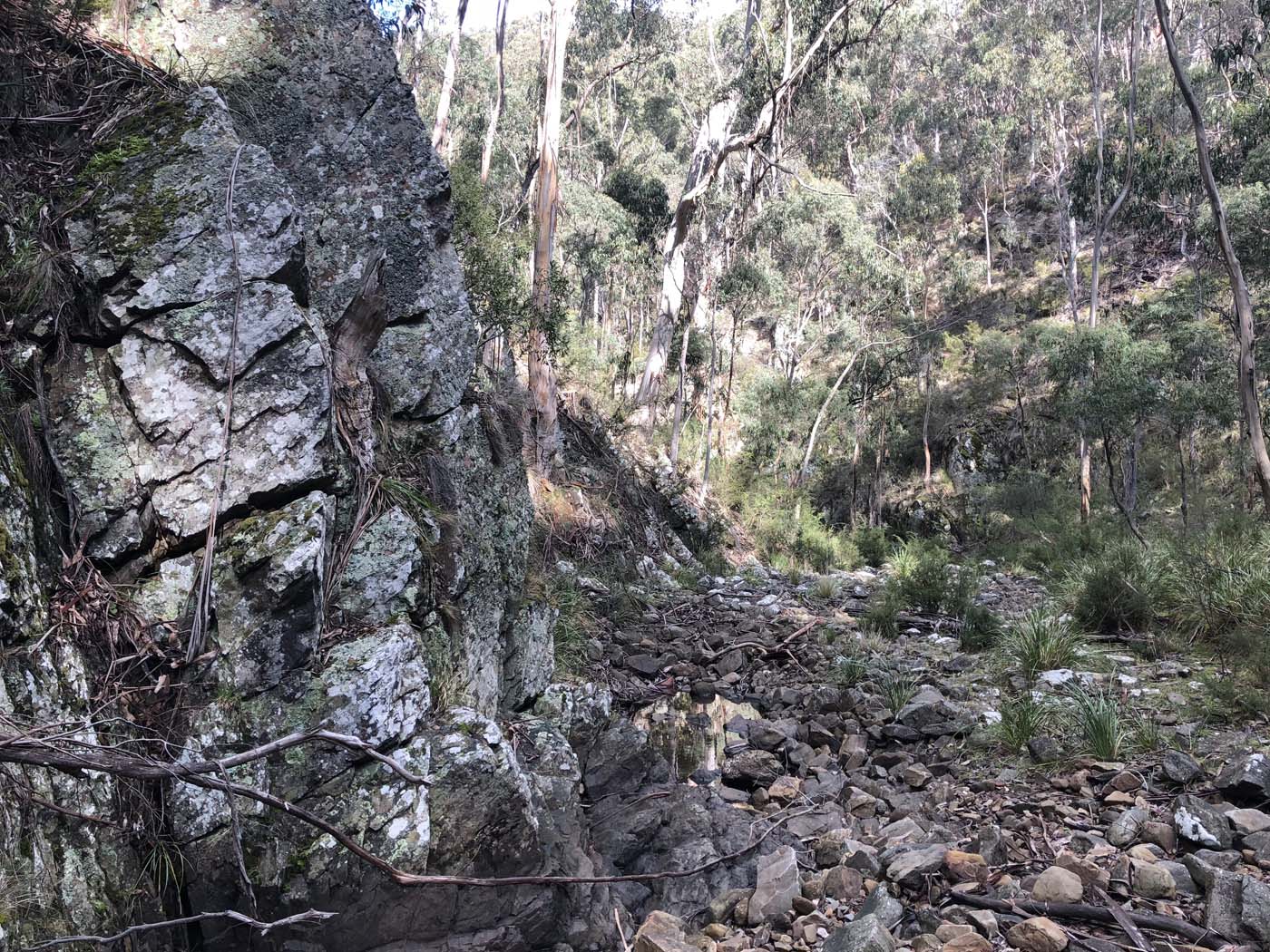 Whisky creek circuit hike (10)