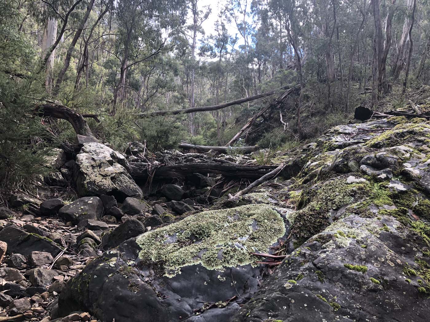 Whisky creek circuit hike (11)