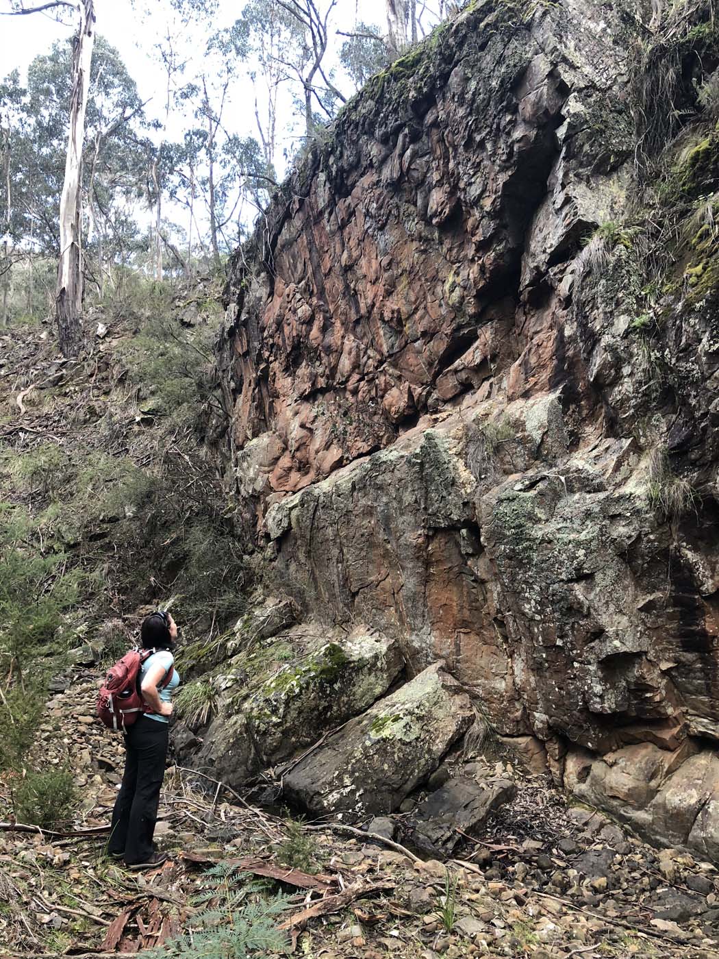 Whisky creek circuit hike (14)