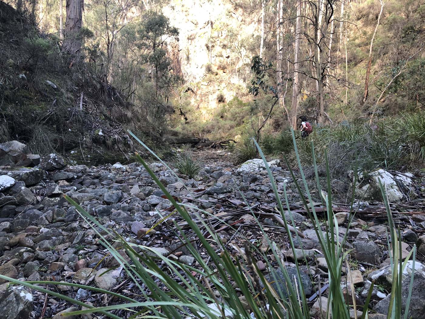 Whisky creek circuit hike (16)