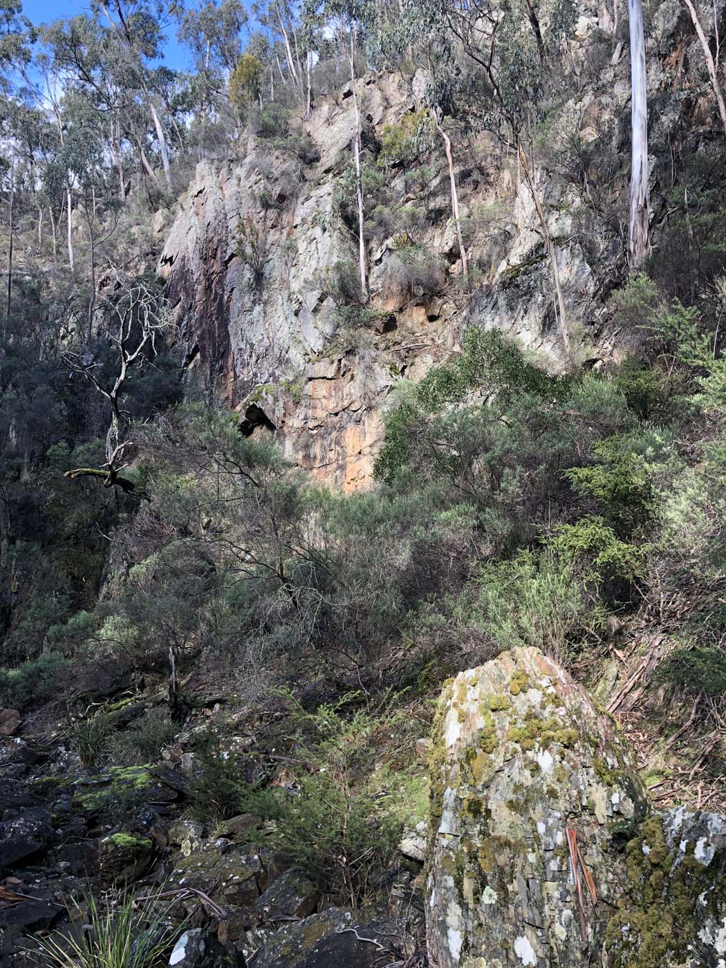 Whisky creek circuit hike (17)
