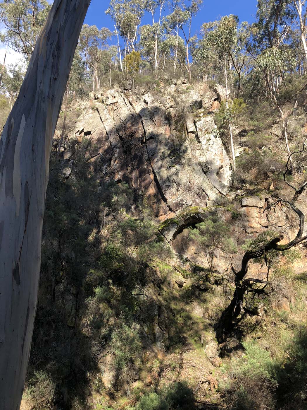 Whisky creek circuit hike (19)