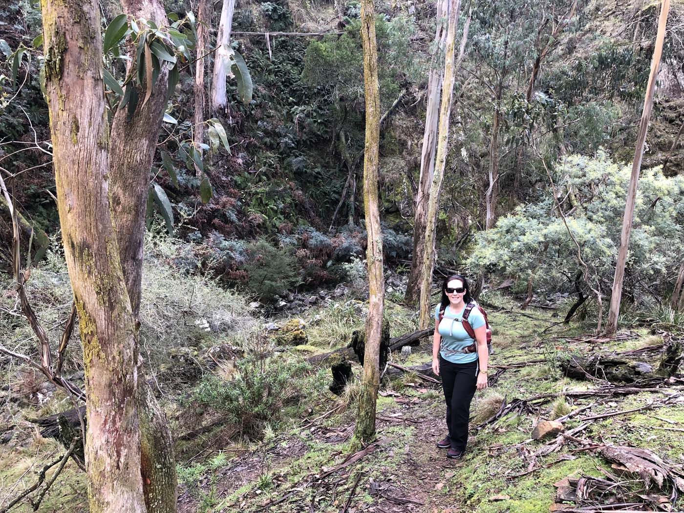 Whisky creek circuit hike (2)