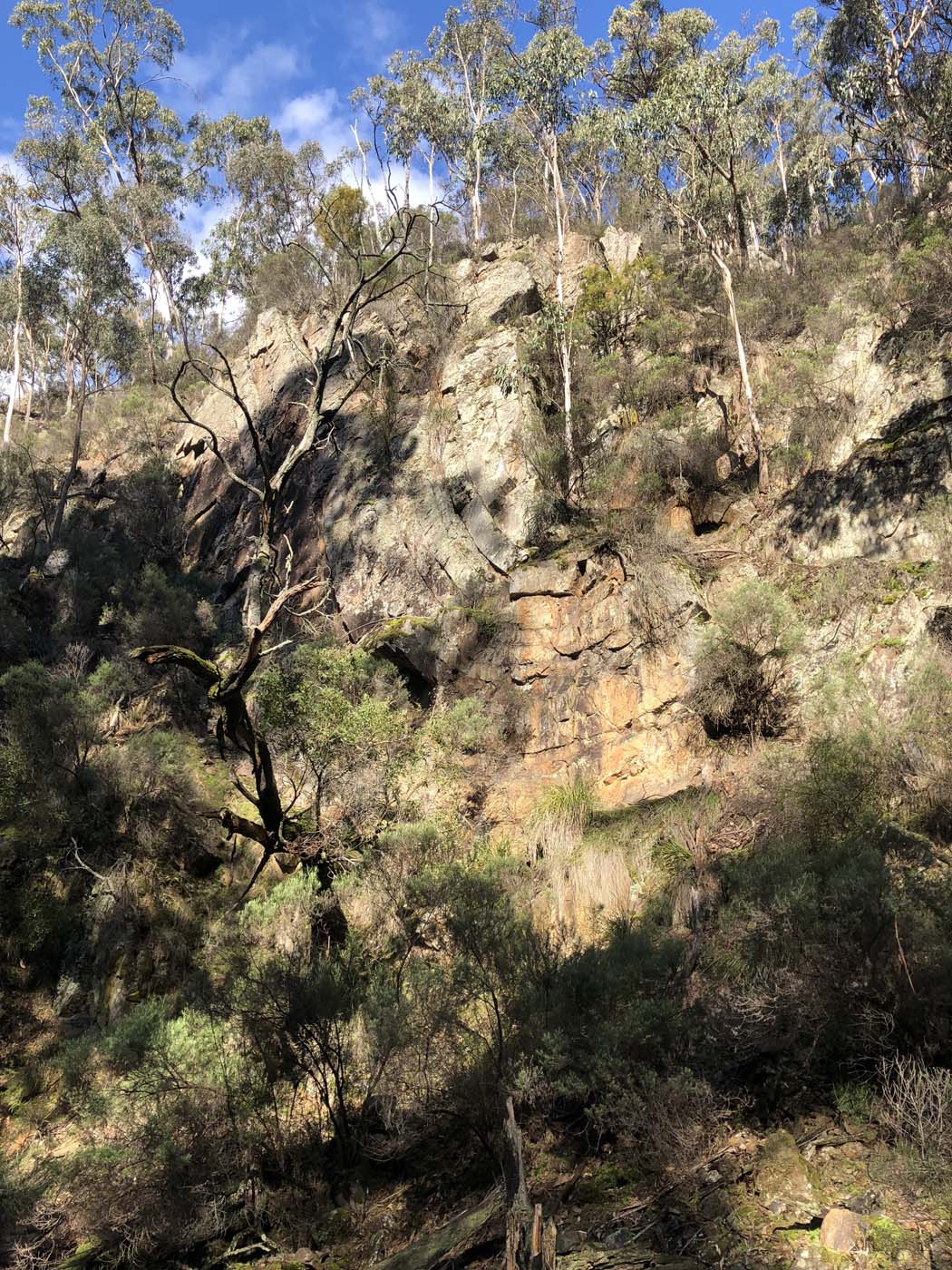 Whisky creek circuit hike (20)