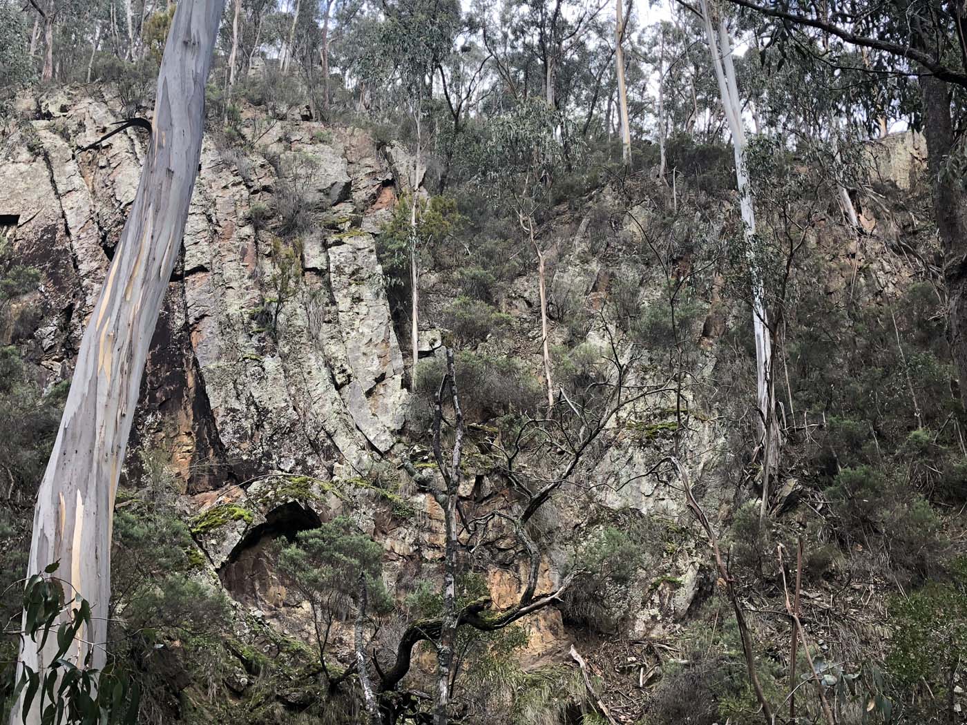 Whisky creek circuit hike (24)