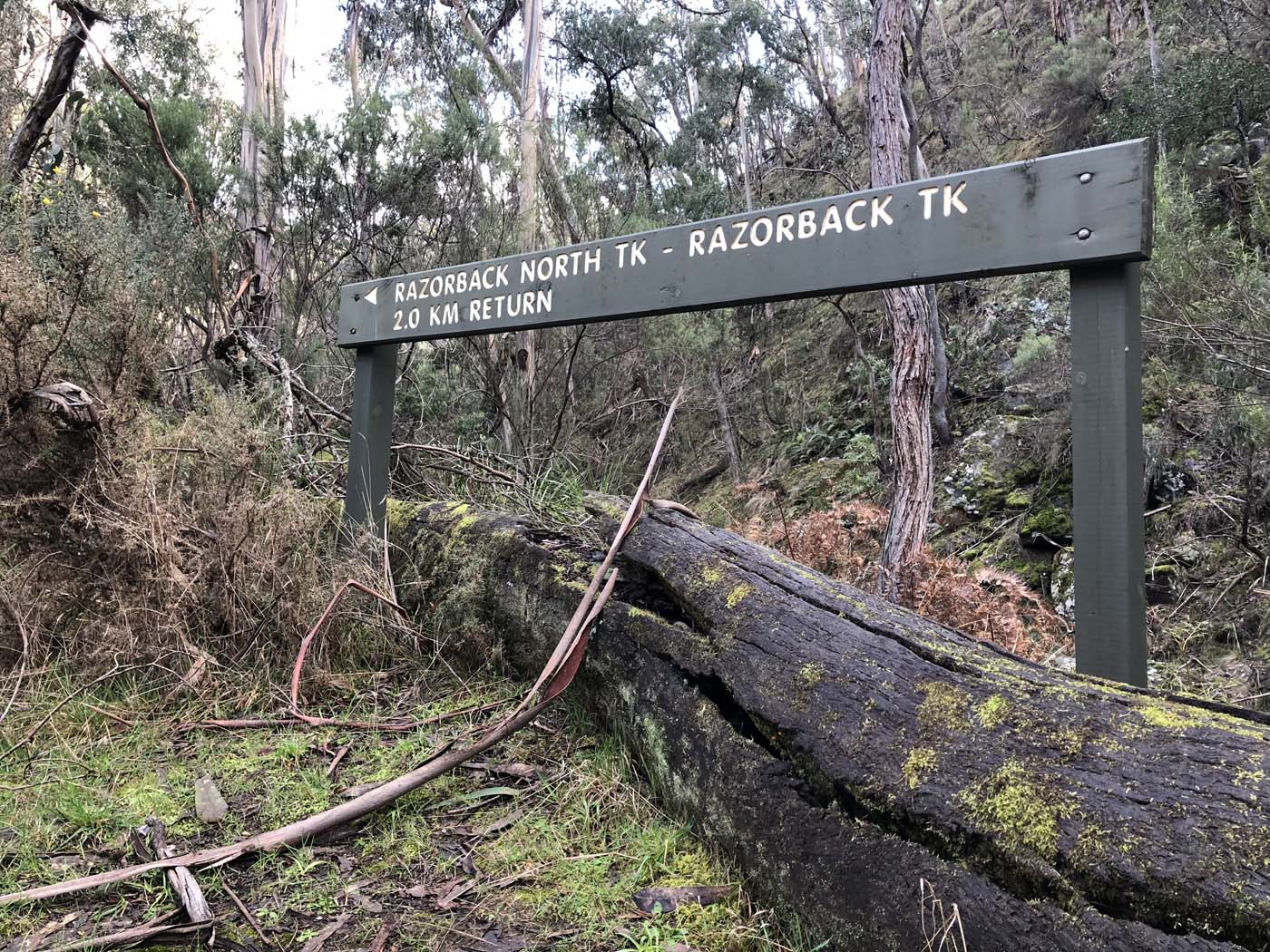 Whisky creek circuit hike (28)